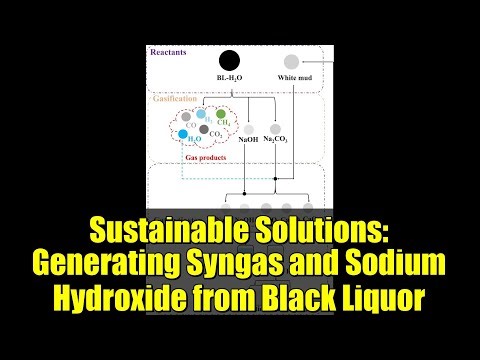 Sustainable Solutions: Generating Syngas and Sodium Hydroxide from Black Liquor