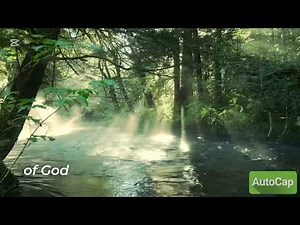 Bible Verses About Leadership That Shape Destiny
