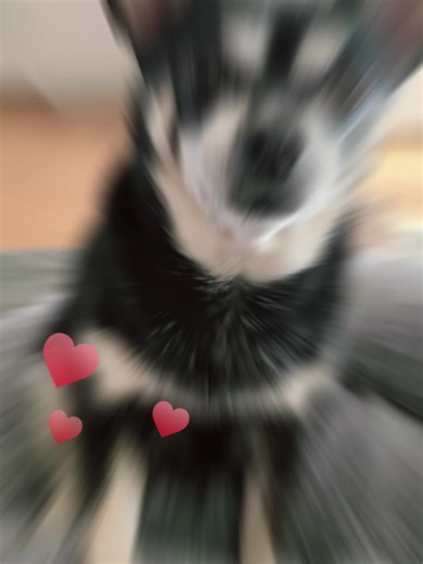 Clara (@clarachristinahil)’s videos with original sound - highschool simulator