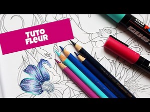 Tuto fleur crayons de couleur. coloriage adulte