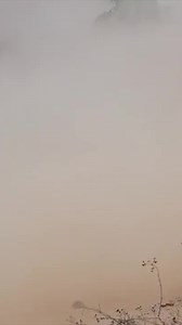 3.1K views · 140 reactions | Head over to our youtube channel and re-live last year's @bfgoodrichtires SCORE BAJA 1000 TV show as we go in to the final days before race week! https://youtu.be/RMh44moytZ4?si=mpHU40fPLpxN_vbX @bfgoodrichtires 56th SCORE BAJA 1000 presented by @knfilters | SCORE International | Facebook