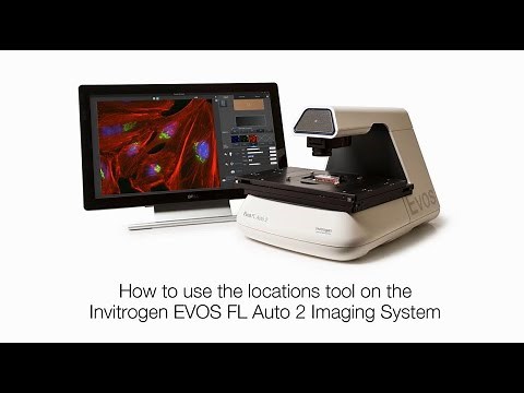 Using the locations tool on the EVOS FL Auto 2 Microscope