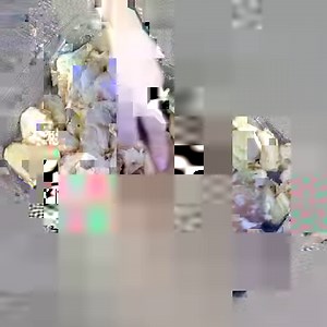 244K views · 64 reactions | Máglyarakás! Ismét egy hazai kiválóság, a máglyarakás receptje olvasható! Igazán laktató, bőséges desszert. 珞 HA TETSZENEK A VIDEÓINK, LÁJKOLD AZ OLDALUNKAT ITT -> (Y) Recept videók (Y) A teljes receptet keressétek a blogunkon!  | Recept videók | Facebook