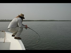 How to choose your fishing rod