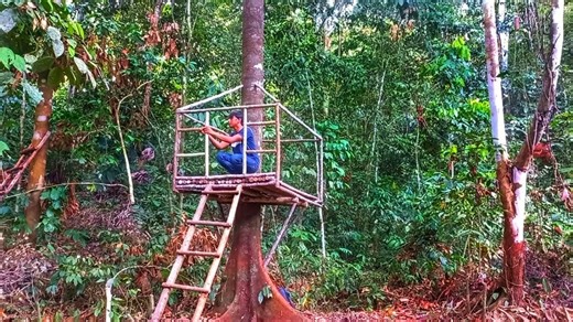 613K views · 8.5K reactions | Solo Camping in heavy rain - Building a tree house shelter​ #bushcraft #survival #adventures #wilderness #forest #shelter #camping #diy | Shelter Master | Facebook