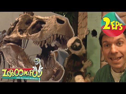 Dinosaurs + Who's in the hole? | Zoboomafoo - Double Feature | Full Episodes 03 + 04