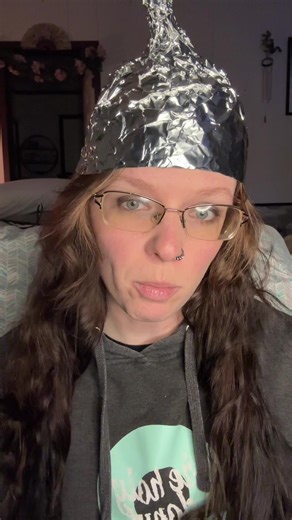 Lesson five: Did Admiral Byrd really find a land beyond the Ice wall?? #antarctica #fyp