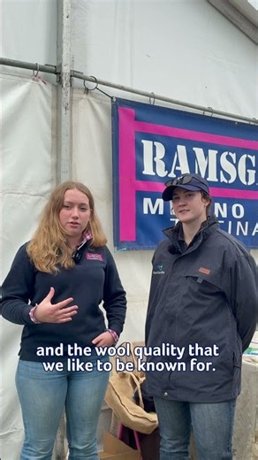 Ramsgate Poll Merino Ram Sale 2026 - Pre Sale interview with AuctionsPlus