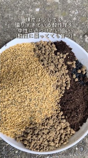 土を考えるの楽しい #庭作業 #植物 #ガーデニング #土づくり