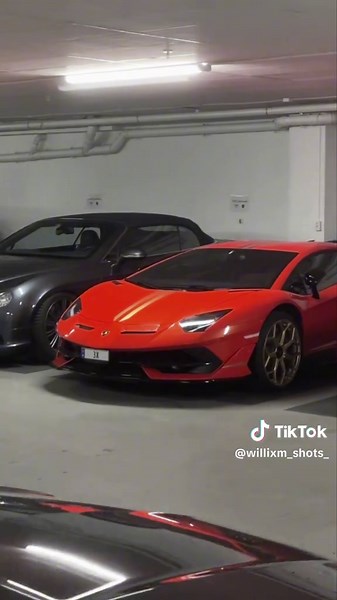 Explore the Luxury of 2x Lamborghini SVJ Clips