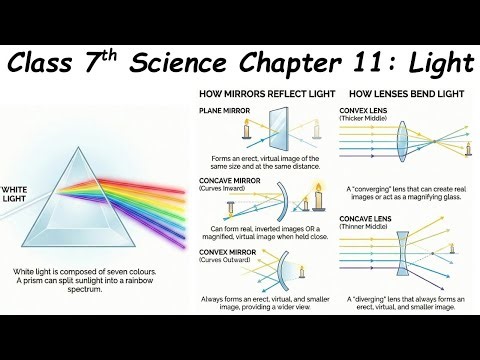 Class 7th Science Chapter 11 Light