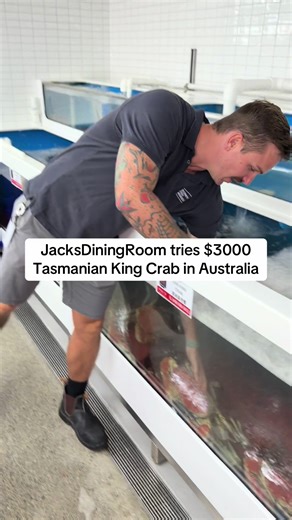 Trying Australia's Most Expensive Crab: $3000 Tasmanian King Crab