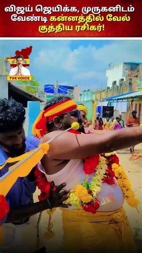 😱விஜய் ஜெயிக்க, முருகனிடம் வேண்டி—கன்னத்தில் வேல் குத்திய ரசிகர்!” #thalapathyvijay #tvkvoice