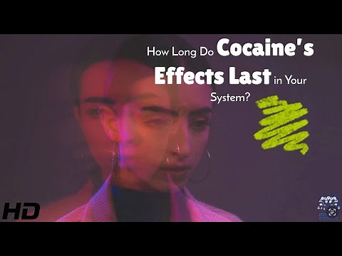 Cocaine's High: How Long Does It Really Last?