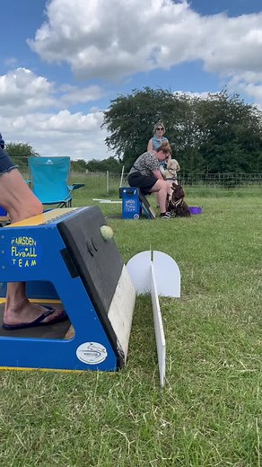 Fabulous box turns by a few dogs at training #ramsdenflyballteam