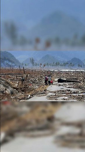 2004 Indian Ocean Earthquake and Tsunami Facts #shortfacts