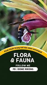 Ekosistem adalah satu rantaian yang saling berkait antara satu sama lain terutamanya tumbuh-tumbuhan dan haiwan yang akhirnya memberi manafaat kepada manusia dan juga seisi alam. #nature #flora #fauna #biodiversity #pollinators | Dome Nikong
