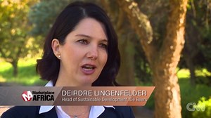 How De Beers aims to become carbon-neutral