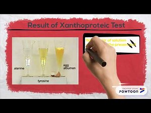 Xanthoproteic Test