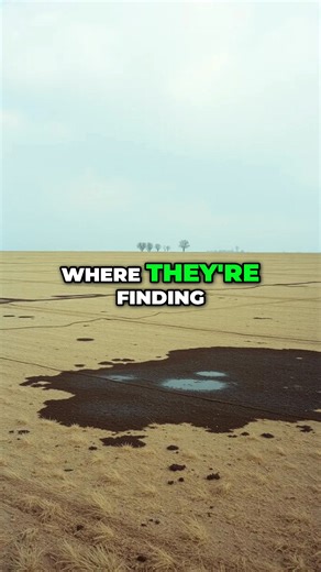 The scale of recent atrocities is staggering—2,600 people killed in just 48 hours. Satellite images reveal horrific scenes of mass slaughter, door-to-door executions. It's a grim reality that's been unfolding for too long. #atrocities #humanrights #conflict #ukraine #Russia #news #worldnews #trump #viralshorts #africa #sudan | Webs Network Media | Facebook