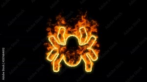 spider symbol inflames. Then disappears. In - Out loop. Alpha channel Premultiplied - Matted with color black