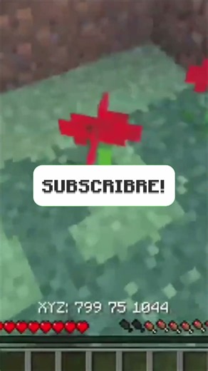 First To Get Red Wool #minecraft #race