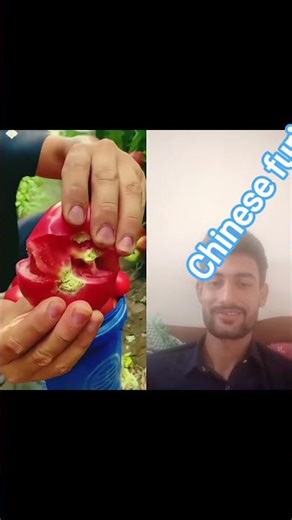 china Agrimaster in world #farming #fruit #maizefarming #garden