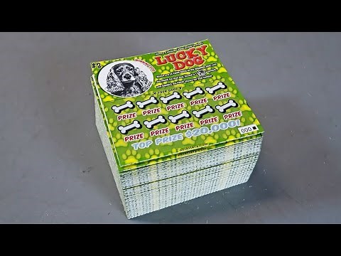 The Entire Pack! I Spent $300 On Lottery Tickets! $2 Scratch Offs Tickets