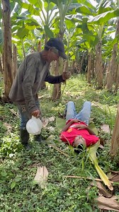 1M views · 38K reactions | El mono se pasó con esta broma #parati #viralreelsシ #reelsfypシ #reelsfacebook #fypシ #foryoupageシ #videovira #funnymoments #funnyreels #videosgraciosos #viralpost | El Yoco | Facebook