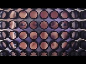 Imaging Across Multiple Spatial Scales with the Micro Camera Array Microscope