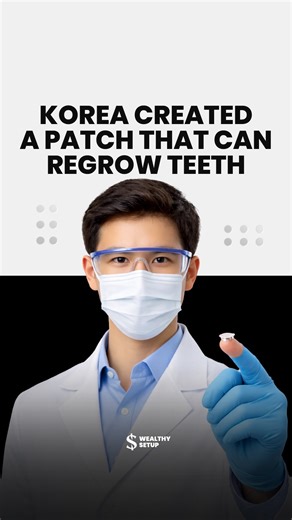 Wealthy Setup on Instagram: "South Korean researchers created a microneedle patch that may allow teeth to regrow naturally. The patch is placed on the gum for about 20 minutes a day. Microneedles deliver a drug called Tideglusib directly to the tooth root and stem cells. It works by blocking the GSK-3β protein and activating the Wnt/β-catenin pathway — the same pathway used in tooth development. As a result, stem cells begin forming dentin, enamel, and early tooth structures. The advantages over