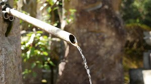Water flowing of bamboo in traditional Japanese garden. nature background. Fresh water flowing and dripping from a bamboo pipe fauced in japanese garden. High quality FullHD footage