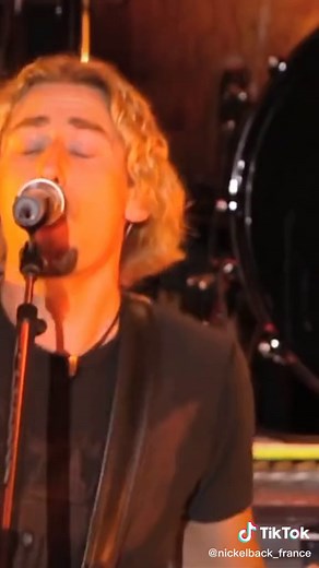 Incredible Animal Moments at a Nickelback Concert