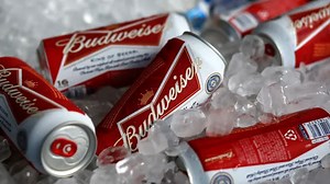 Beer is safe from weight-loss drug impacts, AB InBev CEO explains
