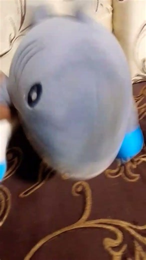 tutorial como ver un eclipse 😂😂