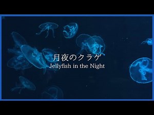 月夜のクラゲ/久米詔子作曲