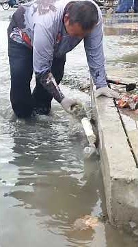 Massive Drain Blockage Cleared — Flood Water Vanishes Instantly #uncloggingdrains #shorts