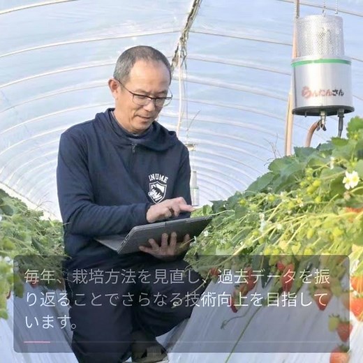 AIで進化するつづく農園のスマート農業