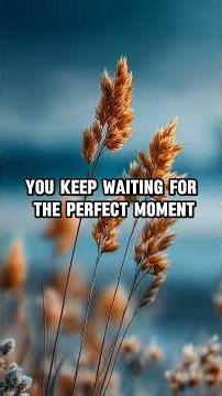 The Perfect Moment Doesn’t Exist (This Will Change You).....