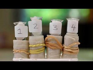 IGCSE Lab: Making esters