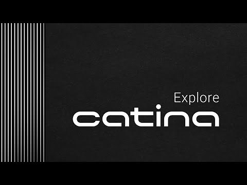 Overview of Catina