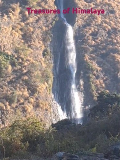 Treasures of HIMALAYA #shorts