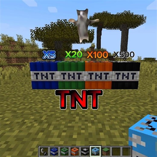 X5 vs X500 TNT! Pure Chaos! 🔥💀 #minecraft #shorts