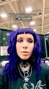 We love bats! 🖤🦇 But you will not find them at our show. We banned the sale of real bats in 2019. Sadly, there is no way to sustainably source deceased bats. They are k!Iled in mass to keep up with the demand for art — many species being threatened and endangered. We want no part in contributing to that issue.We require all of our vendors to sustainably source their specimens. ✨ Fun fact: I’m vegan! The sustainable aspect of our show means a lot to me and we’re proud to be the only show of our