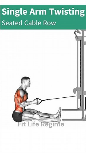 Single Arm Twisting Seated Cable Row