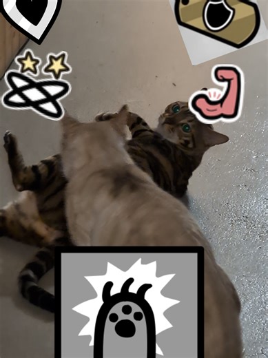 who confused my cleric bro 😾 #mewgenics #combat #bengal