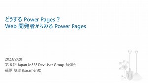 どうする Power Pages？Web 開発者からみる Power Pages / How to deal with Power Pages