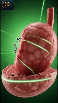 Virus Entering Human🧍 Body – 3D Battle Animation #healthshorts #Bio Science 3d Animation