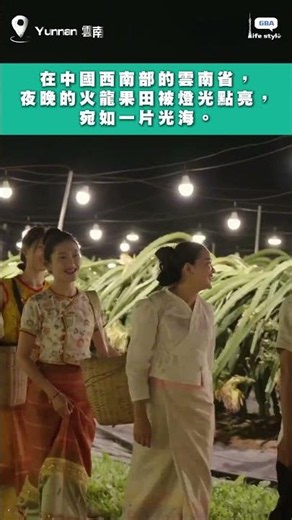 在中國西南部的雲南省，夜晚的火龍果田被燈光點亮，宛如一片光海。通過補光燈延長光照時間，促進火龍果開花結果。#雲南 #火龍果
