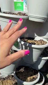 🌿 Inside My Herb Tower Setup: Dollar Tree Planters + PVC | Part 2